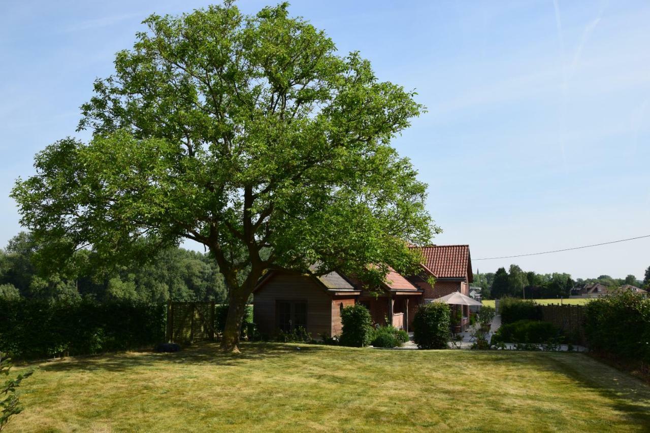 B&B De Nootelaer Meldert Luaran gambar